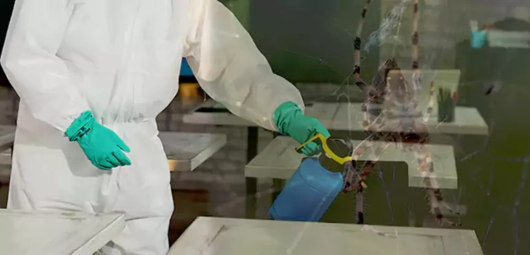 Why Buyers Still Want Homes With Pest Infestations in Los Angeles, CA?