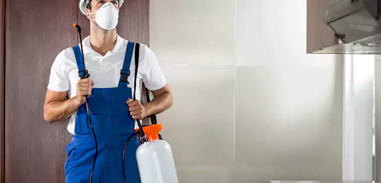 Why Los Angeles Homeowners Choose Us When Pests Make Selling Difficult