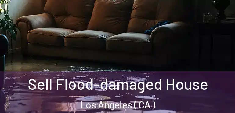  Sell Flood-damaged House Los Angeles ( CA )