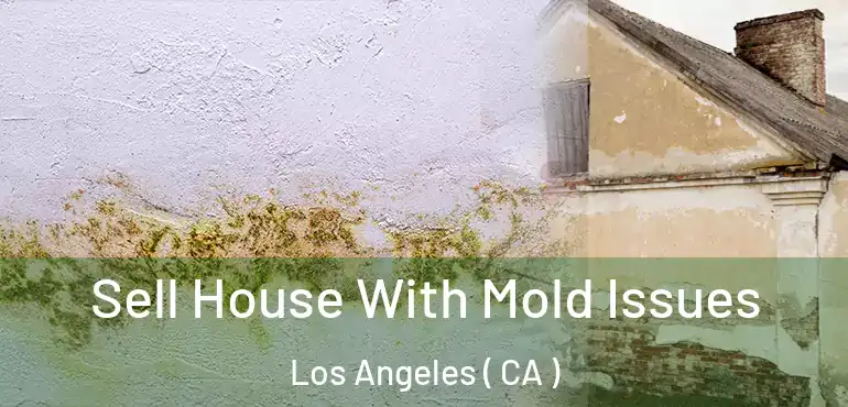  Sell House With Mold Issues Los Angeles ( CA )